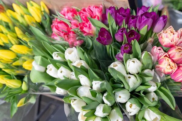 Fleuriste : Arum Fleur