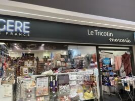5. LE TRICOTIN - BERGERE DE FRANCE - RETOUCHES